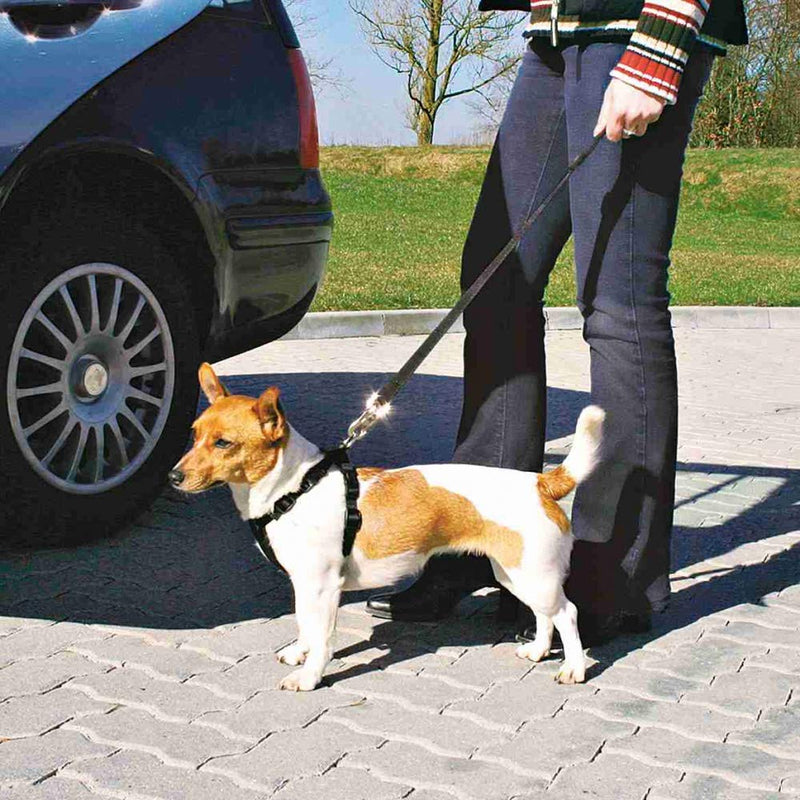 Car safety harness, S: 30–60 cm (West Highland Terrier) Black Small - West Highland Terrier - PawsPlanet Australia