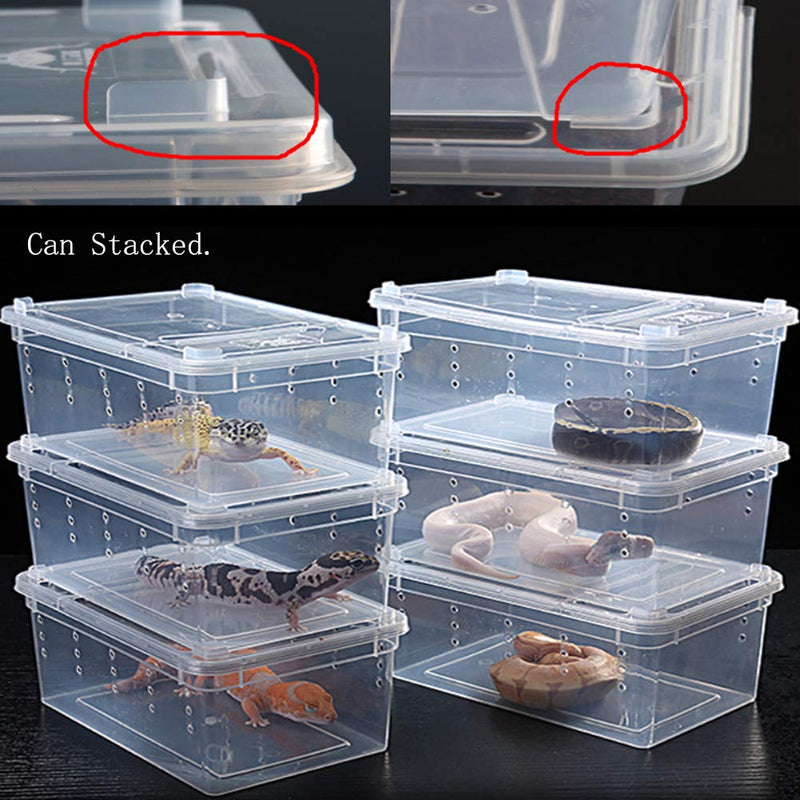 [Australia] - Reptile Small Snake Feeding Box Lizard Tarantula Habitat Cage Hatching Container Transparent Portable Plastic Mini Pet Houses for Scorpion Spider Frog 