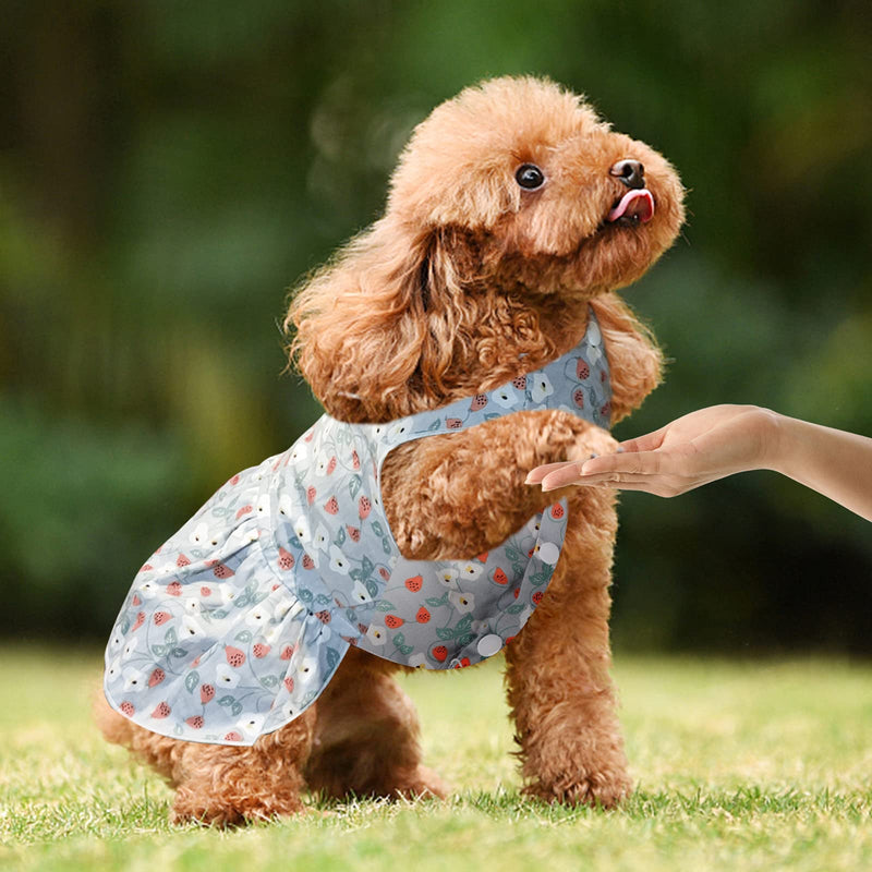 2 Pieces Dog Dress Dog Tutu Princess Dresses for Girl Small Dogs Lovely Summer Puppy Dress Cute Dog Dress for Pet Clothes Birthday Party Flower Dog Dress Shirt Vest Sundress Puppy Clothes Small (2 Count) Blue Pink Dress - PawsPlanet Australia