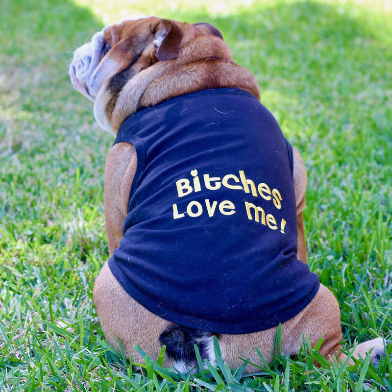 Parisian Pet Bitches Love Me Dog T-Shirt, Medium M - PawsPlanet Australia