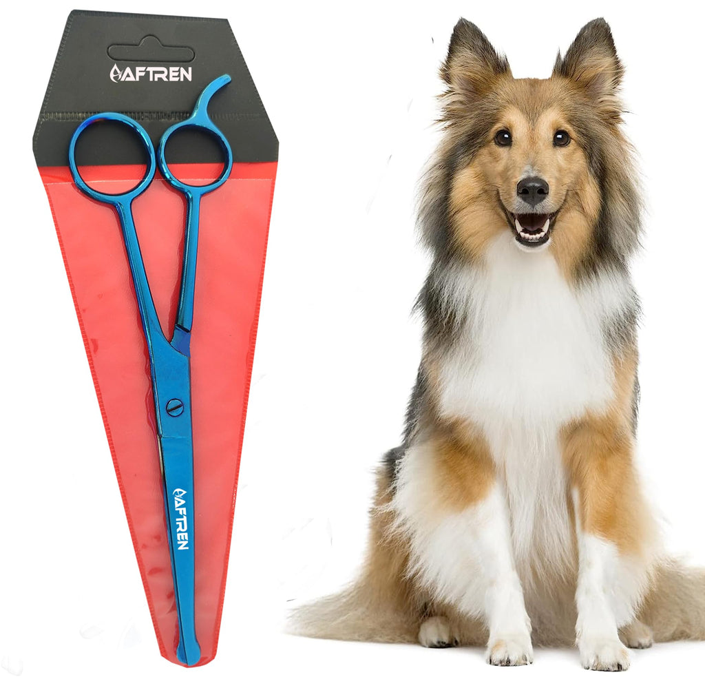 Pet Dog Grooming Trimmer Scissors, Curved Hair Paw Scissors, Round Tip Safety Scissors, Stainless Steel for Dogs and Cats (8 Inch) - PawsPlanet Australia