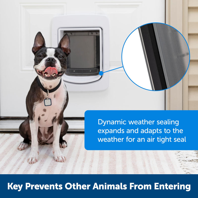 PetSafe SmartDoor Connected Pet Door for Cats and Dogs Power Adaptor SmartDoor Power Adapter One Size Fits All - PawsPlanet Australia