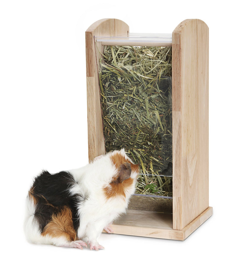 Living World Green Wood/Acrylic Hay Rack, Medium, 16 x 16 x 32.5 cm - PawsPlanet Australia