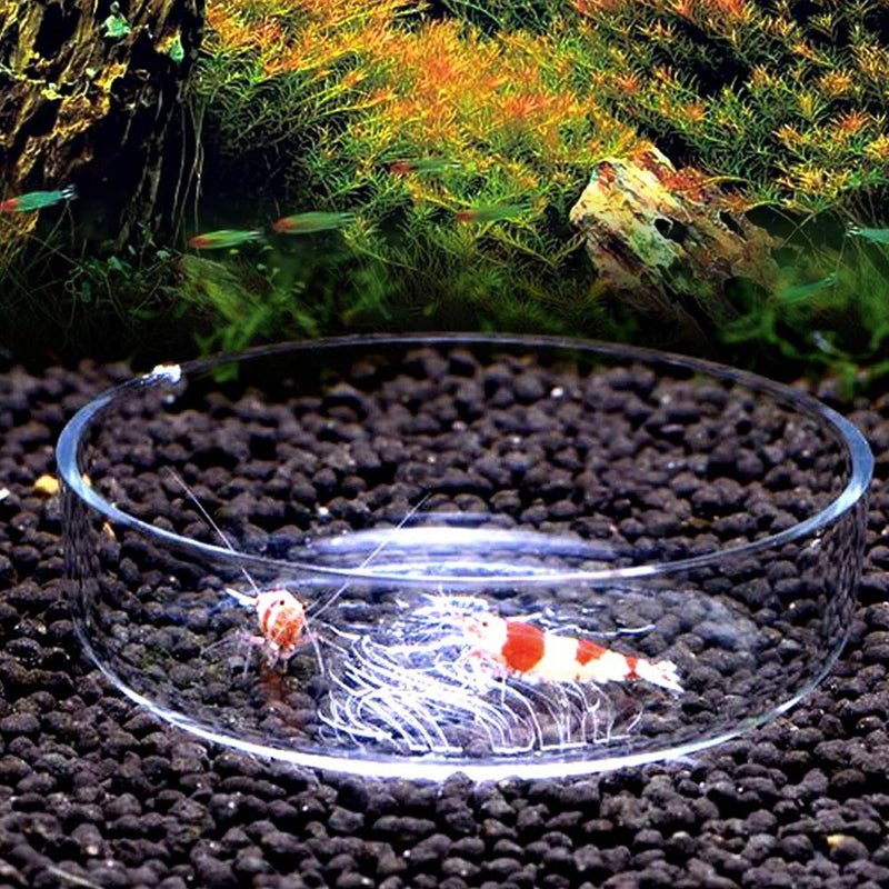 Aquarium Shrimp Feeding Dish Acrylic Shrimp Fish Food Feeder Bowl Durable Feeding Container for Aquarium Fish Tank - PawsPlanet Australia