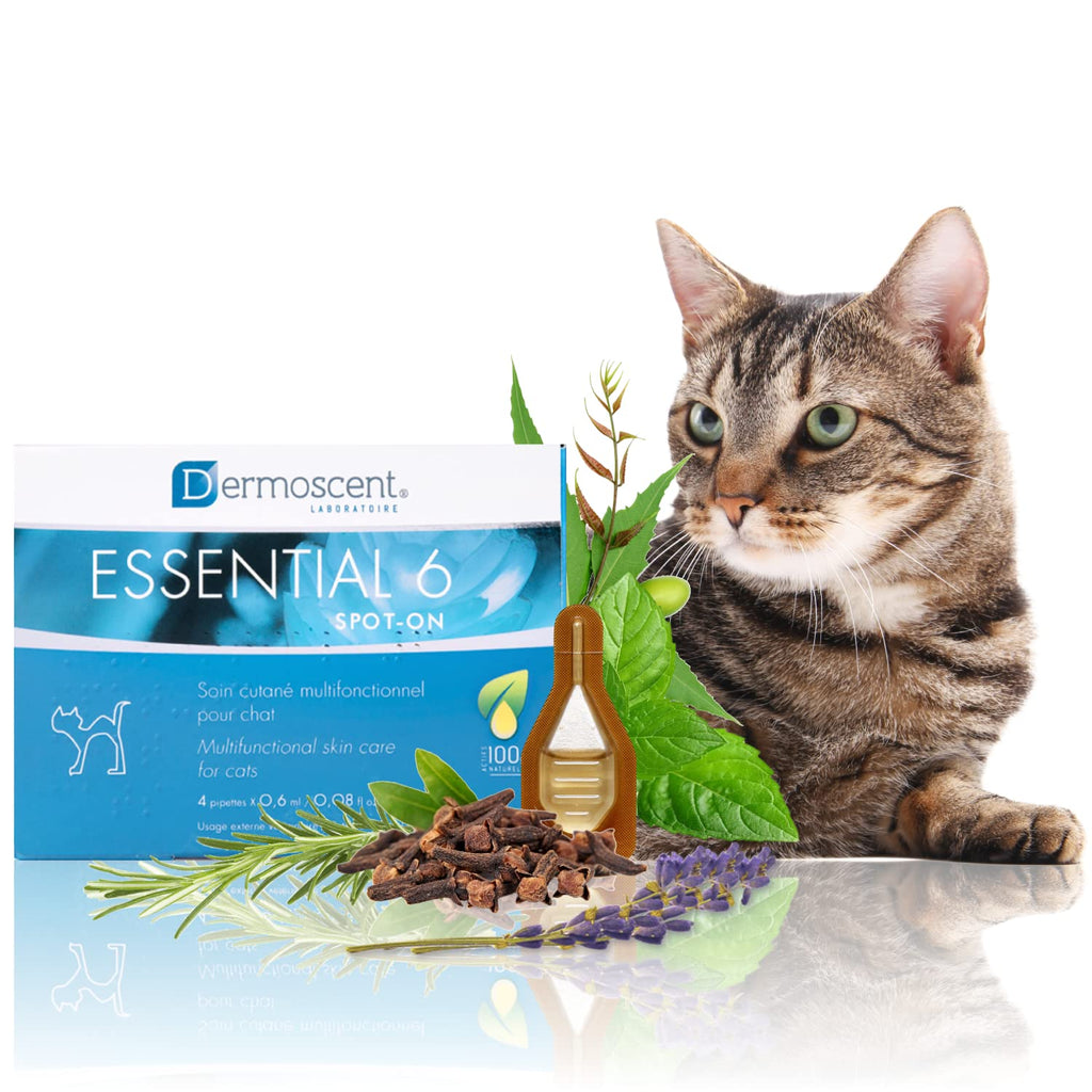 Dermoscent Essential 6 spot-on for cats - skin care for dandruff, dry or oily skin & hair loss - PawsPlanet Australia