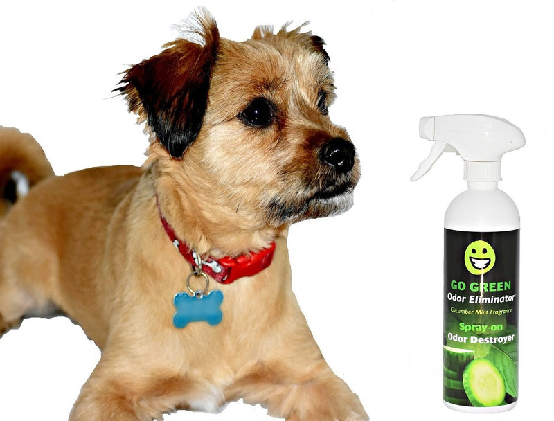 [Australia] - Go Green Odor Eliminator - 16 oz Spray - Remove Odor from Upholstery, Leather Couches, Chairs and Carpet - Pet Odors - Natural Cucumber Mint Enzymes neutralizers Odors. Pet and Child Safe 
