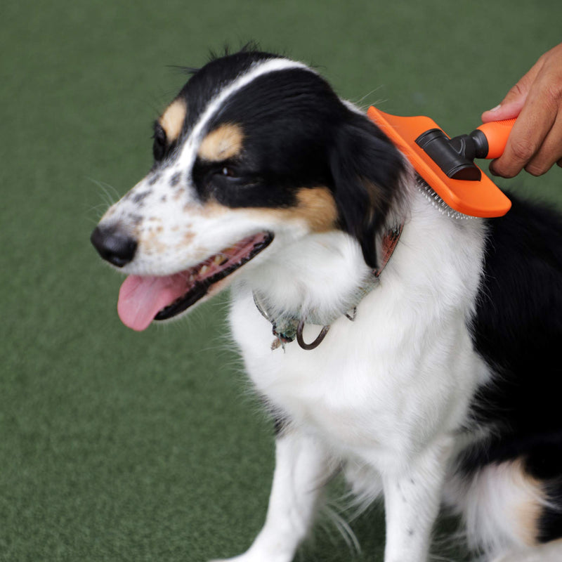 Benz Dog Grooming Tools Kit – Slicker Brush, Dematting Rake Tool & Metal Dog Comb, Pet Grooming Kit, Professional Dog Groom Supplies - PawsPlanet Australia