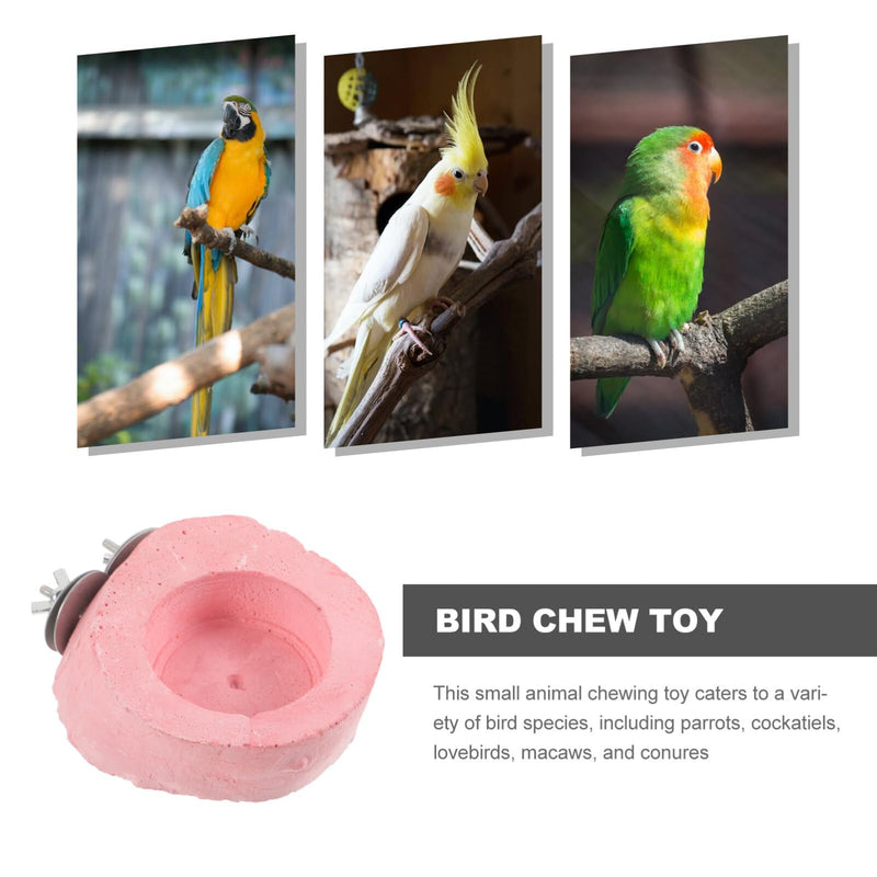 Balacoo Chinchilla Hamster Toy Toys Bird Calcium Stone Bird Cage Accessories Molar for Hamster Cockatiels Parakeets Plaything Hamster Chewing Toy Bird Chew Toy Parrot Bird Feeding Box - PawsPlanet Australia