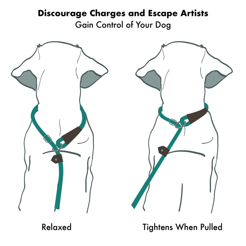 Friends Forever Extremely Durable Dog Rope Leash, Premium Quality Mountain Climbing Rope Lead, Strong, Sturdy Comfortable Leash Supports The Strongest Pulling Large Medium Dogs 6 feet, Blue - PawsPlanet Australia
