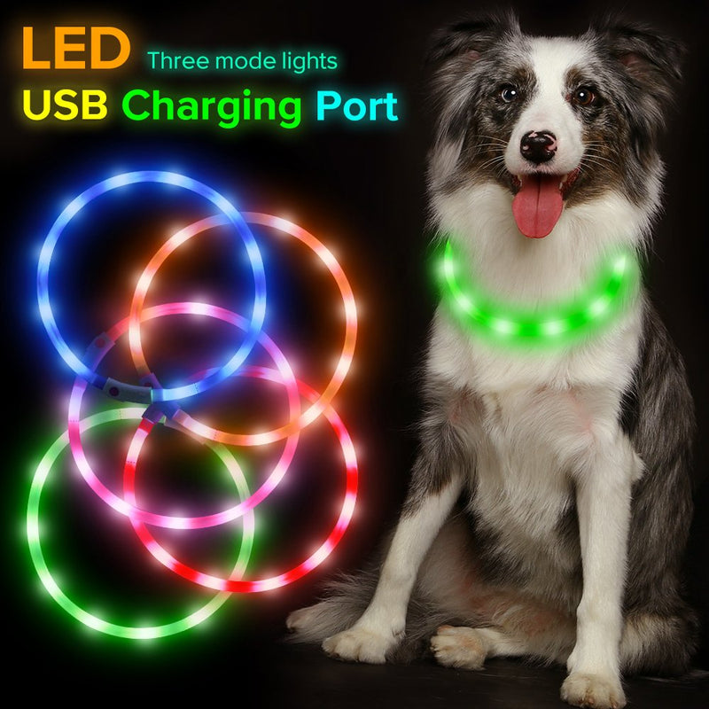 [Australia] - HiGuard LED Dog Collar, USB Rechargeable Glowing Pet Safety Collars, Adjustable Water-Resistant Flashing Light Up Necklace Collar Make Your Dogs High Visible & Safe in the Dark (1Pack-Green) 