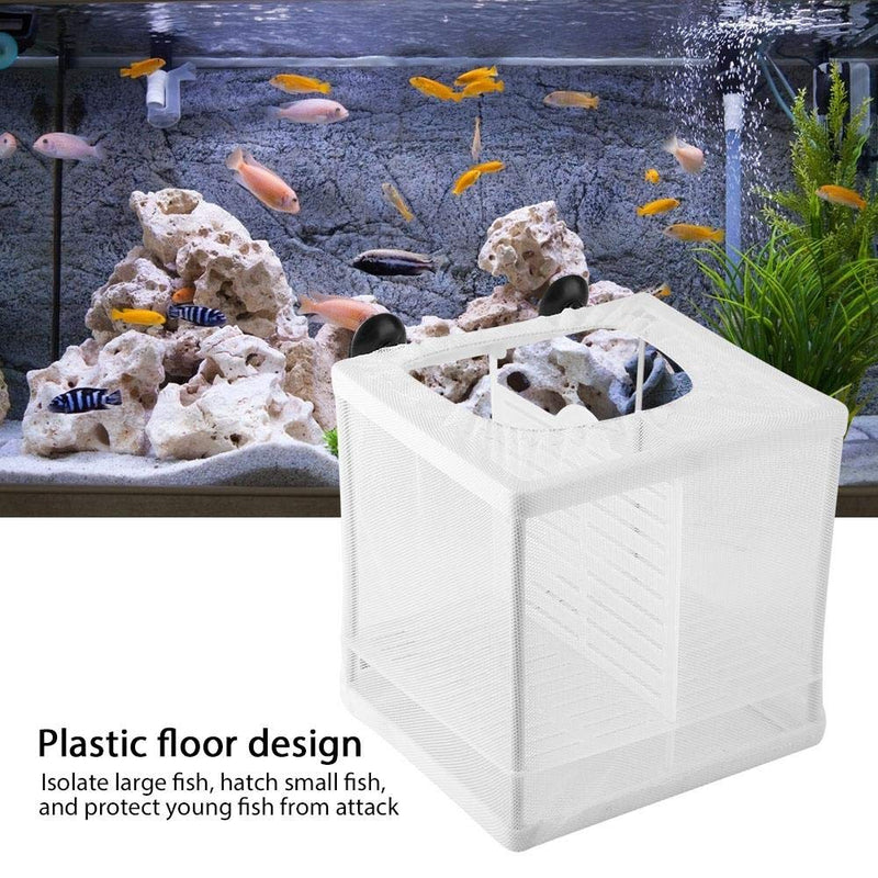 Net Breeder, Suspenable White Plastic Aquarium Tank Isolation Net Hatchery Equipment Which Suits for Fish Shrimp Breeder 6.2x6.2x5.5 inch - PawsPlanet Australia