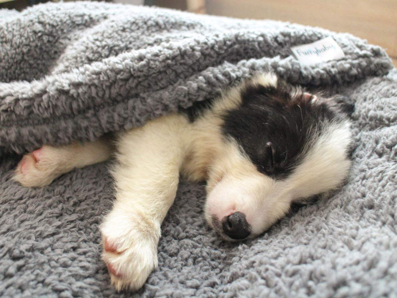 [Australia] - furrybaby Premium Fluffy Fleece Dog Blanket, Soft and Warm Pet Throw for Dogs & Cats (Medium (3240"), Grey Blanket) Medium (32*40") 