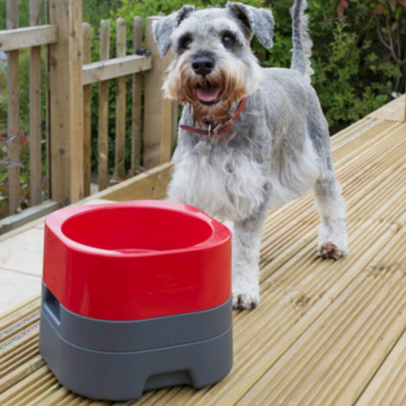 PET WEIGHTER Raised Dog Bowl - Weighted Dog Bowl or Cat Bowl, No Spill! - Elevated Dog Bowls for Large Dogs & Small - No More Spills, Sliding or Cleaning Up! (Large, Red) - PawsPlanet Australia