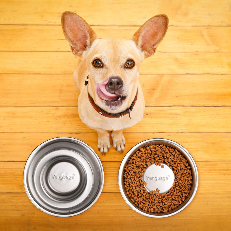 Slow Feeder Dog Bowl - (1000ml) Slow Eating Dog Bowl - Interactive Feeder - Slow Down Feed Dog Cat Feeding Bowl - Pet Bloat Stop Dog Bowl 1 l (Pack of 1) - PawsPlanet Australia