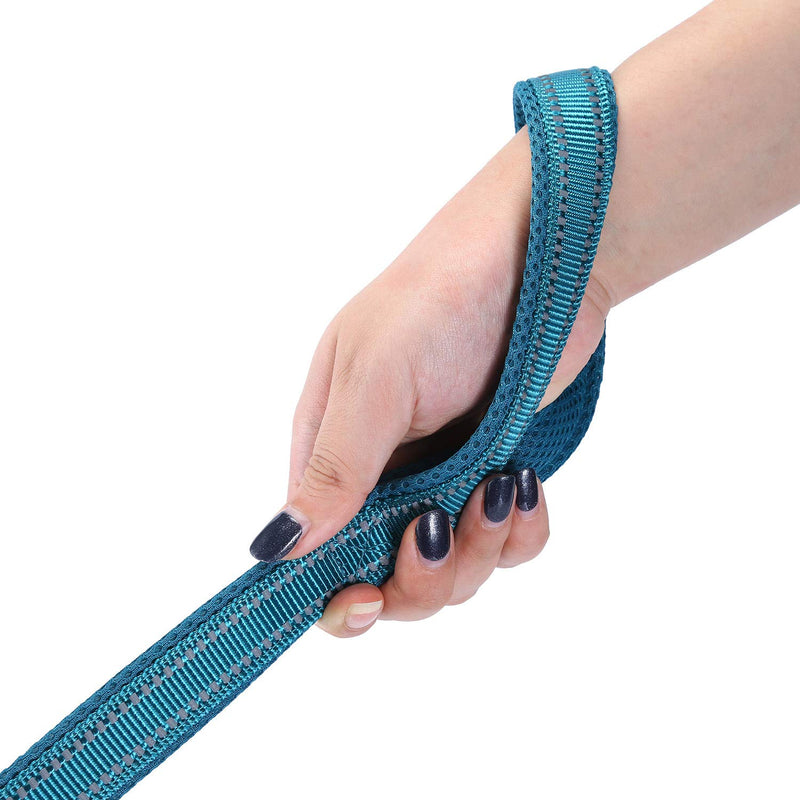 Kaka mall Heavy Duty Pet Dog Basic Lead Leash Soft Padded Reflective Strong Thick Nylon Webbing for Puppy Small Medium Large Dogs Walking Outdoor Travel 1.1 Meter Blue - PawsPlanet Australia