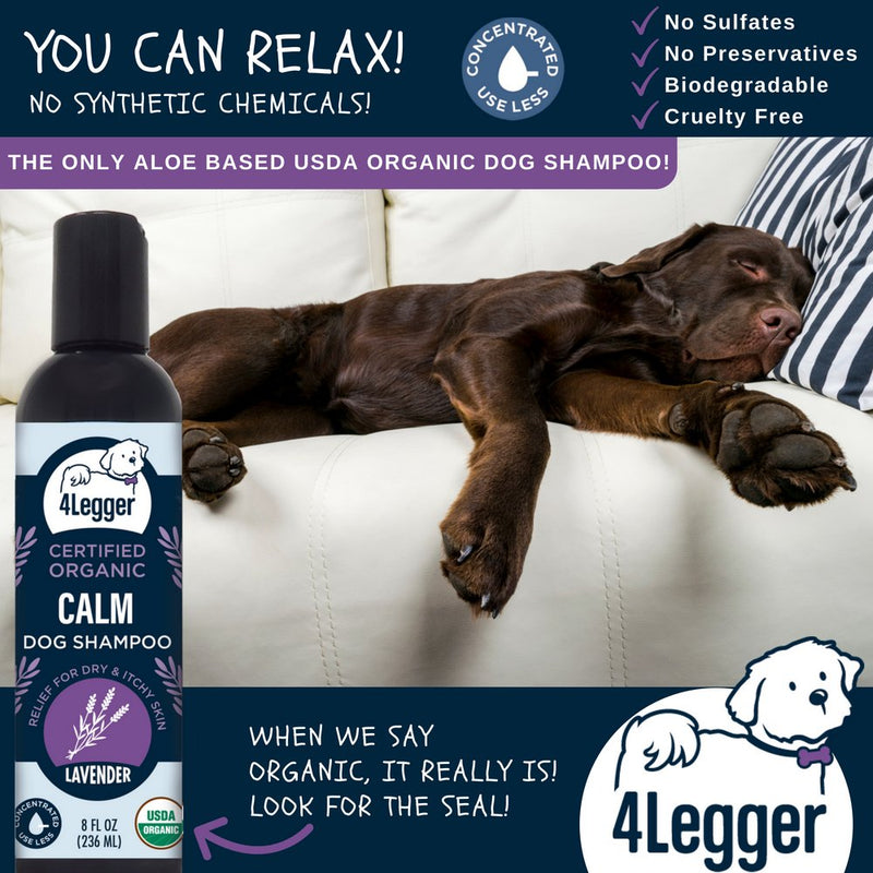 [Australia] - 4Legger Calm All Natural Lavender Dog Shampoo - USDA Certified Organic Dog Shampoo with Shea Butter for Dry Itchy Skin - Calming and Hypoallergenic for Sensitive Skin - Concentrated - USA - 8 oz 