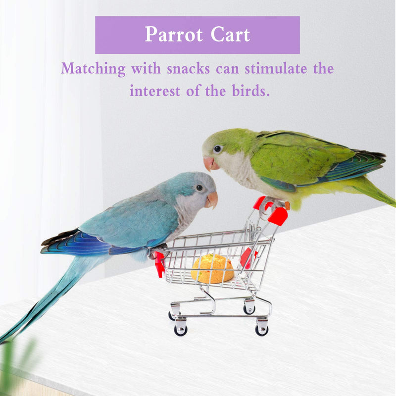 Huahao Birds Toys Parrot Toys Set, Parrots Training Toys and Accessories, Parrot Skateboard Parrot Cart Ball Ferrule - Random Color - PawsPlanet Australia