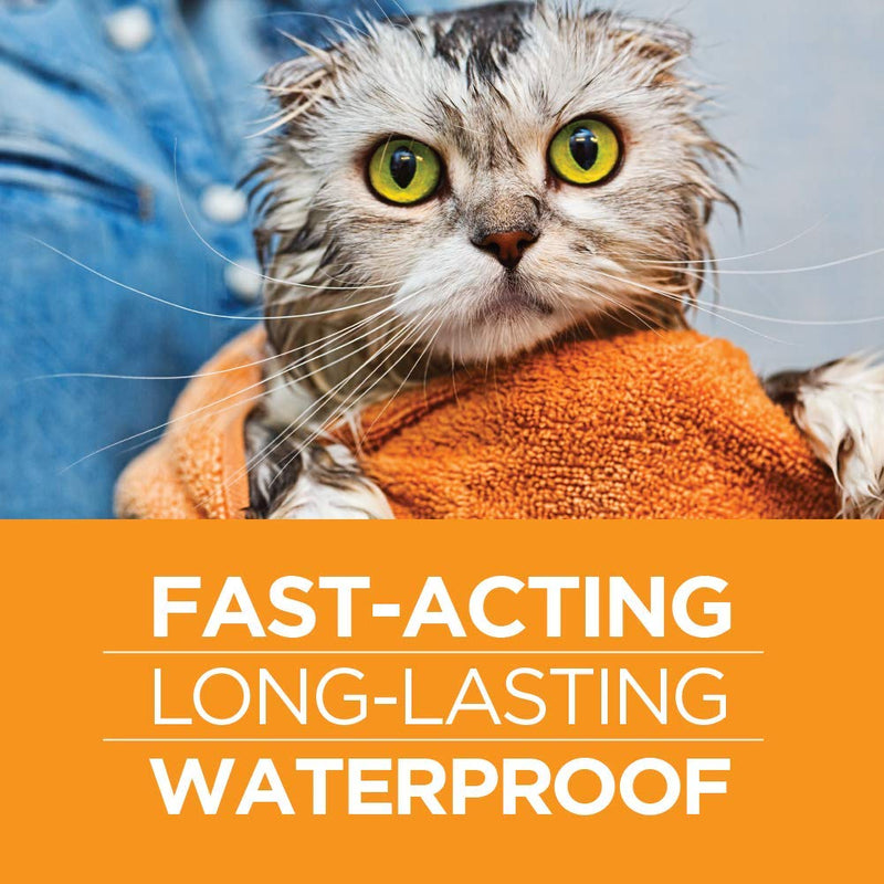 TevraPet FirstAct Plus Flea and Tick Prevention for Cats 1.5 lbs and Over | Waterproof | Fast Acting Treatment 3 Doses - PawsPlanet Australia