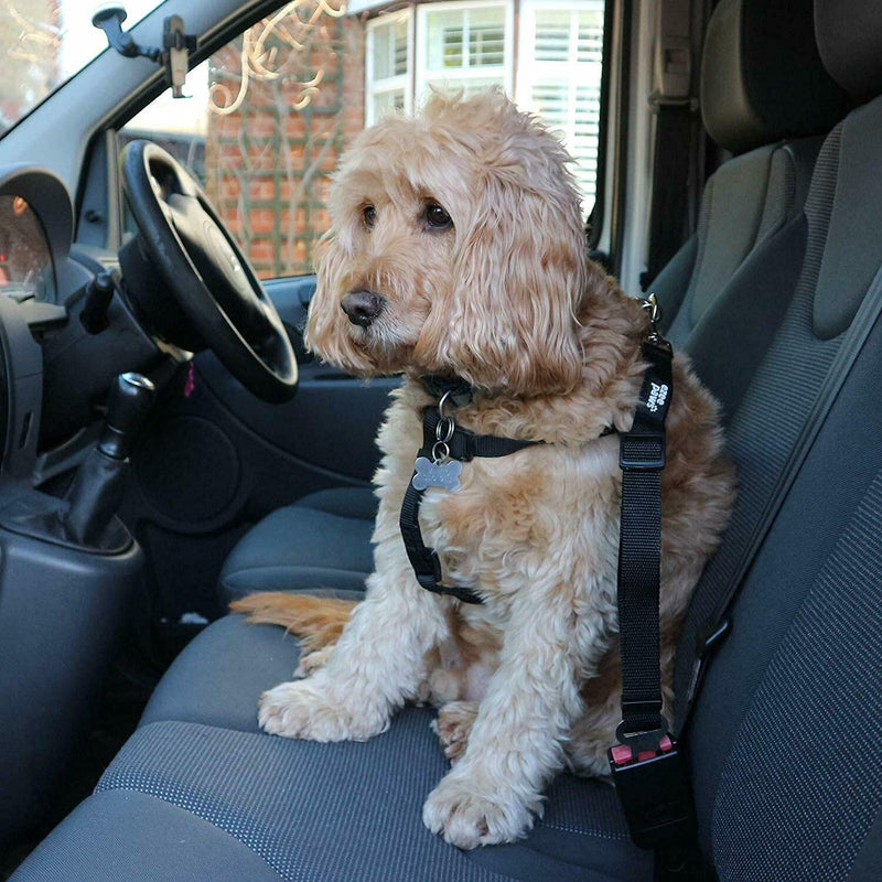 Ezee Paws Dog Seat Belt Safety Harness Lead for Car Vehicle Adjustable (2-Pack) (Black-Red) Black-Red - PawsPlanet Australia