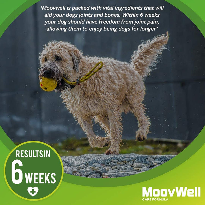 MoovWell Omega 369 for Dogs 1000mg Two Months Supply - PawsPlanet Australia