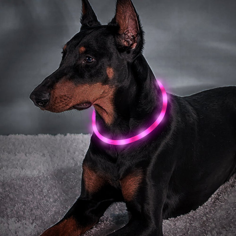 [Australia] - BSEEN LED Dog Collar - USB Rechargeable Glowing Pet Collar, Flexible Silicone Light Up Collars for Small Medium Large Dogs Pink 