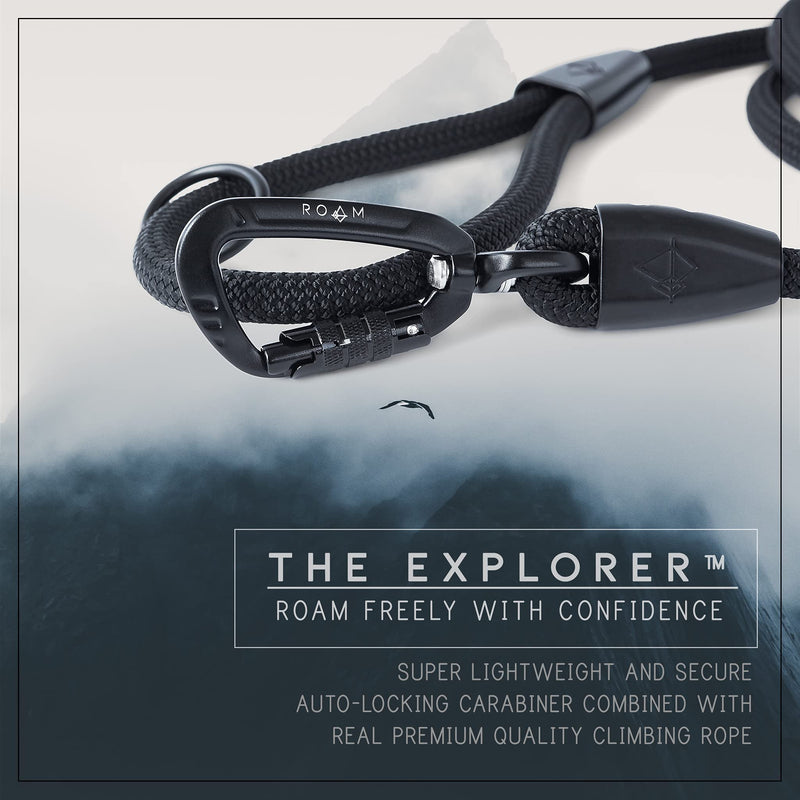 ROAM Premium Explorer Leash - Climbing Rope Leash with Autolocking Aviation Aluminum Carabiner Mountainside - PawsPlanet Australia
