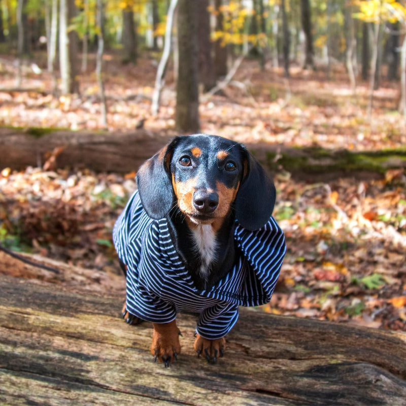 DJANGO Dog Hoodie and Super Soft and Stretchy Sweater with Elastic Waistband and Leash Portal X-Small Black - PawsPlanet Australia