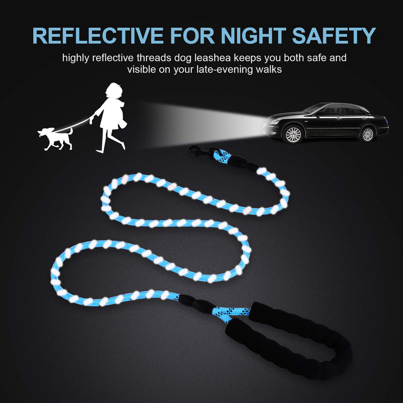 Petmegoo 5ft 1/3in Light Weight Strong Blue Dog Leash for Small Dogs & XSmall Dogs- Highly Reflective Durable Rope Puppy Leash with Soft Padded Anti-Slip Handle for Casual Walk(0~18lbs.) 1/3" x 5 FT Baby Blue - PawsPlanet Australia