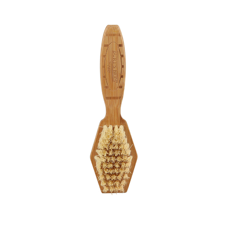 Burt's Bees for Cats 2-in-1 Double-Sided Needle and Bristle Brush for Cats | One side of the cat brush removes loose fur and prevents tangles Cat brush is ideal for everyday use - PawsPlanet Australia