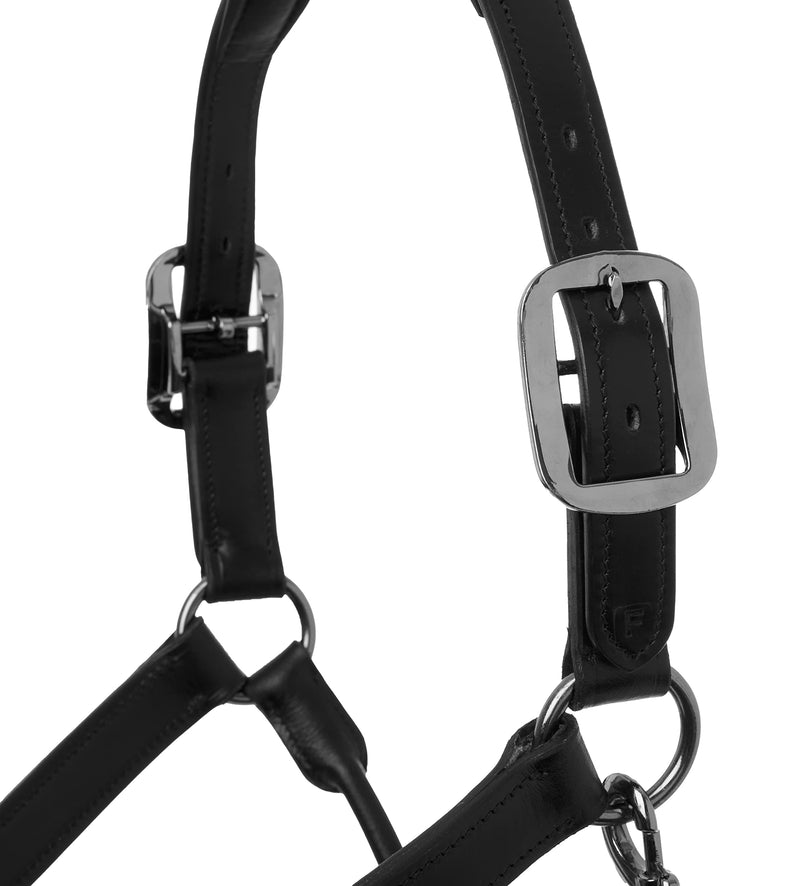 LeMieux Leather Control Headcollar for Horses & Ponies in Black - In Hand Use Only - Cob - PawsPlanet Australia