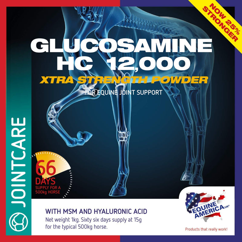 Equine America Glucosamine HCI 12000 | Premium Ready To Use Horse & Pony Supplement | Support For Joints & Mobility | 1kg 1 kg (Pack of 1) - PawsPlanet Australia