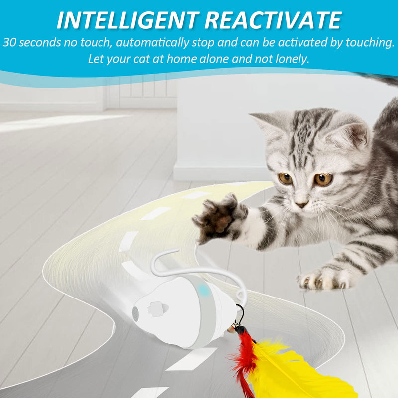 Harnestle Cat Toys Interactive Automatic Kitten Toys with Feathers Ribbon Bell Worm, USB Charging Led Light 360° Irregular Rolling Cat Moving Toys for Indoor Cats Exercise and Hunting - PawsPlanet Australia