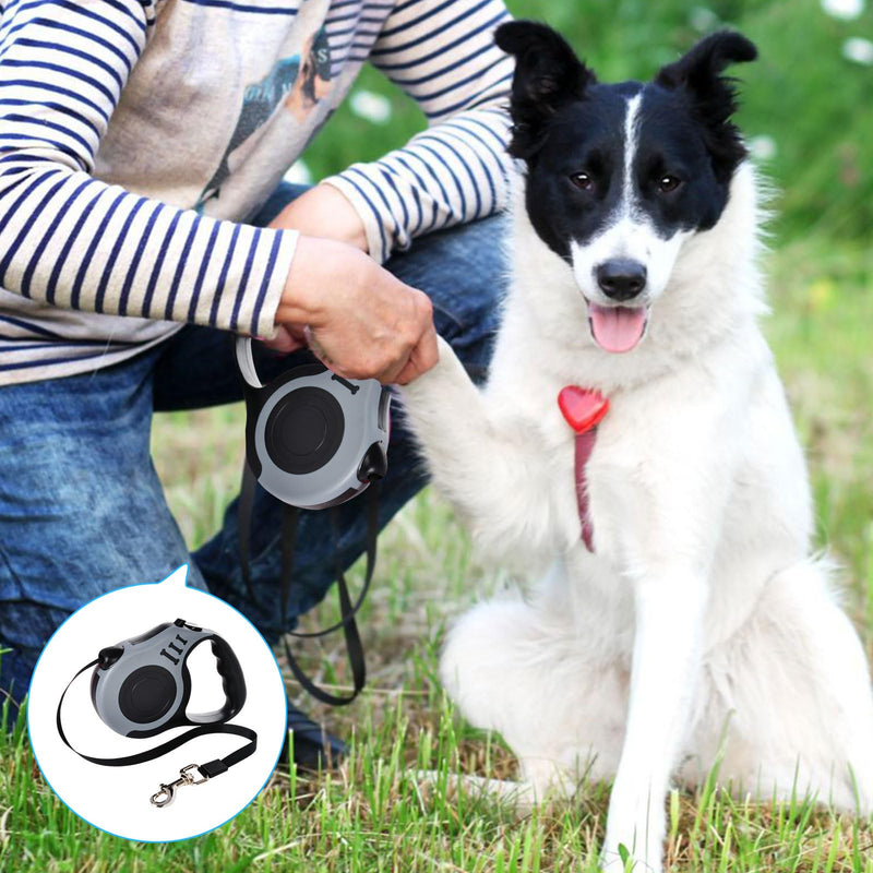 Roll-up dog leash, 1 piece, gray, 5 m roll-up leash for dogs, automatic extendable dog leash, anti-slip handle and quick brake button for small dogs up to 25 kg - PawsPlanet Australia