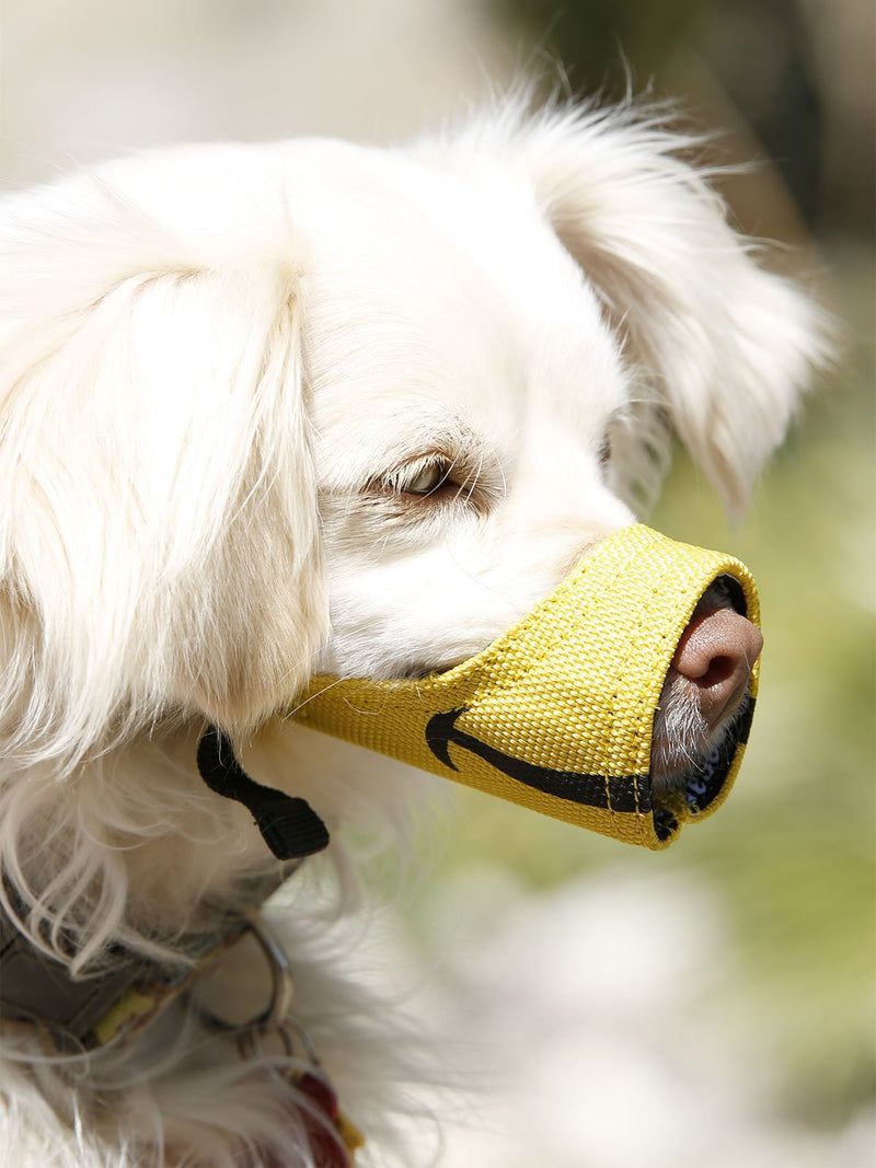 Cesar Millan funny muzzleTM - muzzle of the dog whisperer Cesar Millan, yellow, size 4 (pack of 1) - PawsPlanet Australia