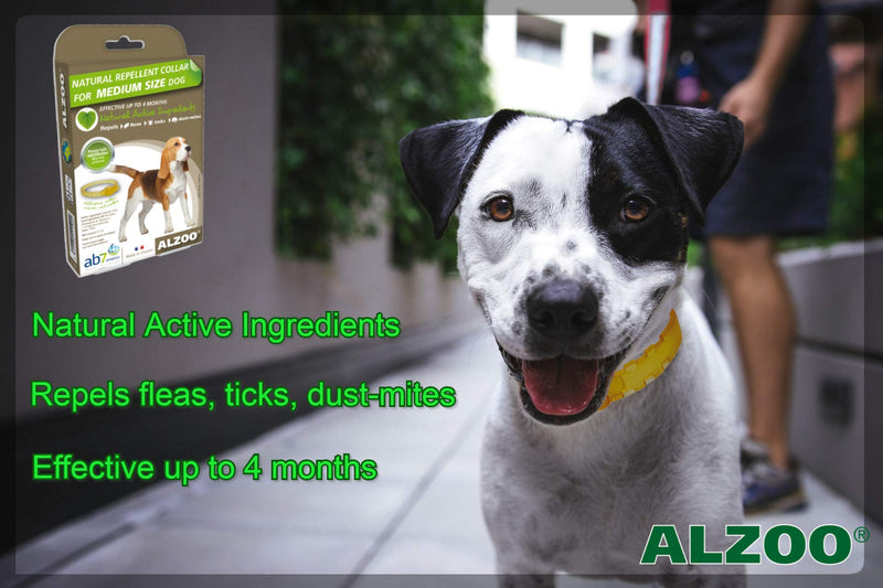 [Australia] - ALZOO Natural Repellent Diffusing Dog Collar | Repels Fleas, Ticks, Dust-Mites Using Natural Active Ingredients | for Medium Sized Dogs 