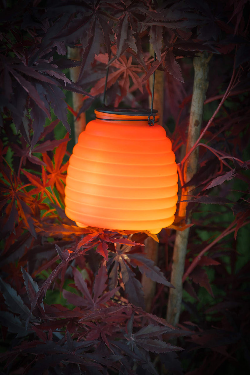 Noma Uncle Franks Wasp Catcher Light with Warm White LED, 15.5cm, One Size - PawsPlanet Australia