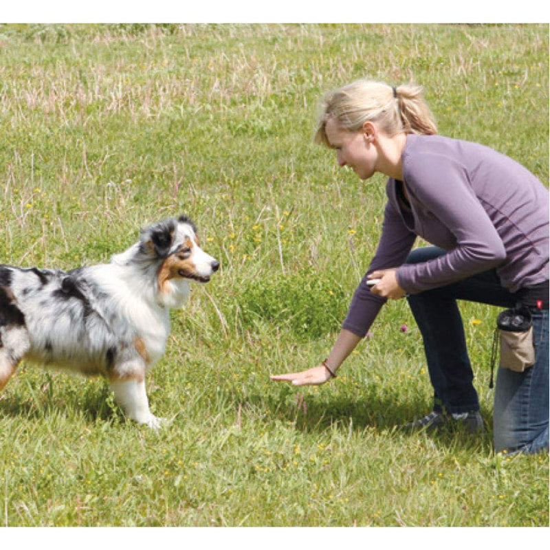 Winod Dog Training Clickers with Wrist Strap -2 Pack(Black +New Blue) - PawsPlanet Australia