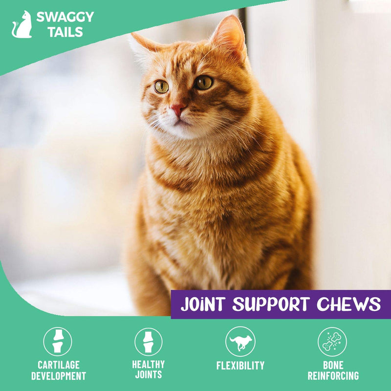 [Australia] - SWAGGY TAILS Glucosamine for Cats, Joint Inflammation Supplement, 90 Cat Joint Chews - Joint Support for Cats with MSM, Chondroitin, Antioxidants - Premium Arthritis Pet Supplements 