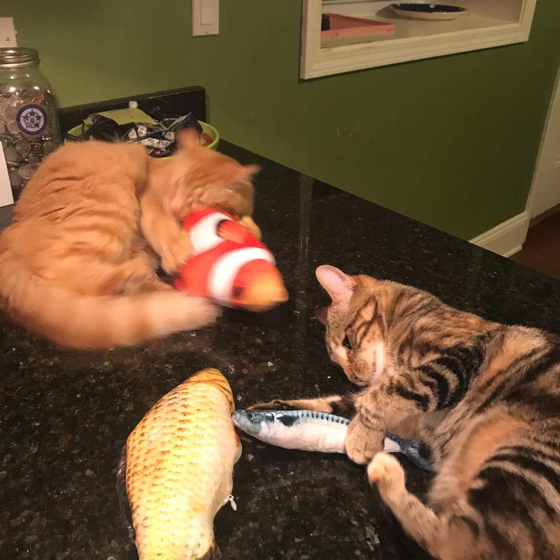 [Australia] - Yoogeer 5Pcs Plush Creative 3D Carp Fish Shape Cat with Catnip Chewing Play Scratch Toy 