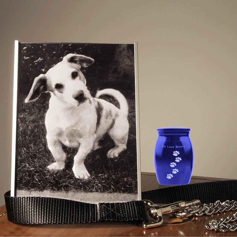 Small Cremation Urn for Pet Ashes, Mini Pet Paw Keepsake Urn Metal Dog Urns for Ashes, Memorial Pet Cremation Urns for Dogs and Cats Ashes Mini Urns for Ashes with Velvet Bags(1.57x1.18 Inch) - PawsPlanet Australia