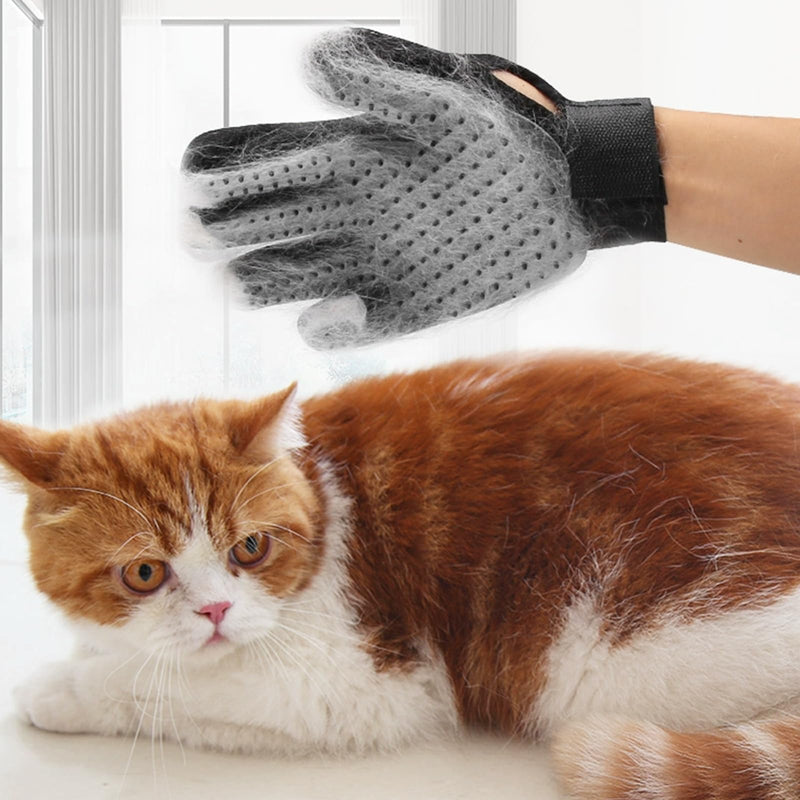 LABUYI 1 piece cat glove, cat brush glove, cat gloves, grooming glove, cat grooming glove, cat glove, cat glove, for dogs, cats, short hair, long hair (right hand) - PawsPlanet Australia