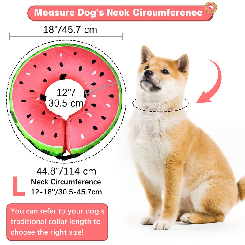 Inflatable Neck Brace Dog & Neck Brace Cat, FWLWTWSS Protective Collar Dog with Adjustable Buckle, Dog Collar Leak Protection for Recovery After Operations or Wounds, Leak Protection for Dogs (L) [Neck: 30.5 cm - 45.7 cm] L - PawsPlanet Australia