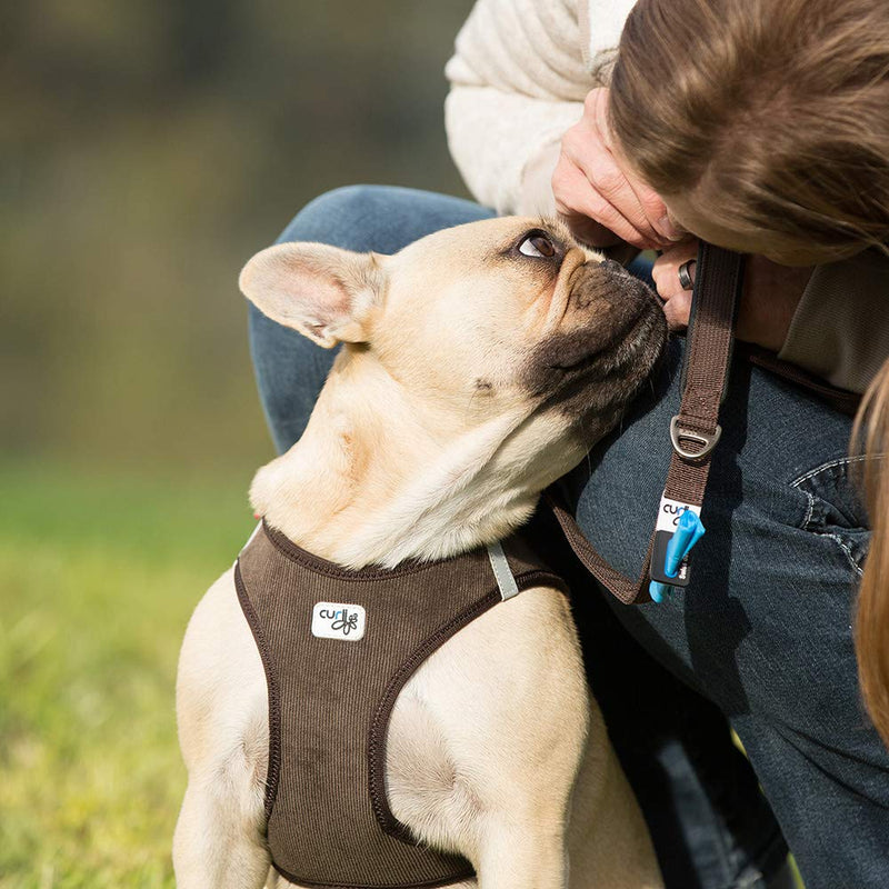 Vest Harness Cord Tan M - PawsPlanet Australia