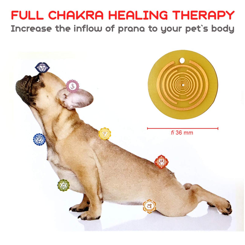 Polarix© for Animals - Pain Relief Disc | Dog Joint Supplement Alternative Medicine | Instant Natural Healing for Dogs Cats Horses & Pets | Chakra Healing Disc Isn`t Dog Toy But Can Become | fi 36 mm - PawsPlanet Australia