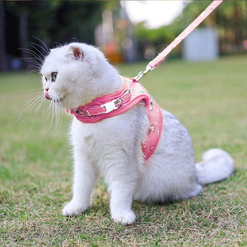 Cat Harness and Lead Set Escape Proof, Adjustable Soft Leash, Medium Large Cat, Safety Cat Walking Jacket, Best for Cat Kitten Training Walking - Pink, M - PawsPlanet Australia