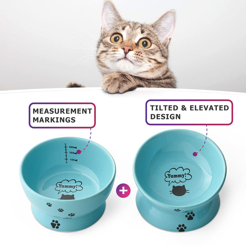 Y YHY Cat Bowls, Raised Cat Food Bowls Anti Vomiting, Tilted Elevated Cat Bowl for Food and Water, Ceramic Pet Food Bowl for Flat-Faced Cats, Small Dogs, Anti Slip Feet, Set of 2, Lake Blue - PawsPlanet Australia