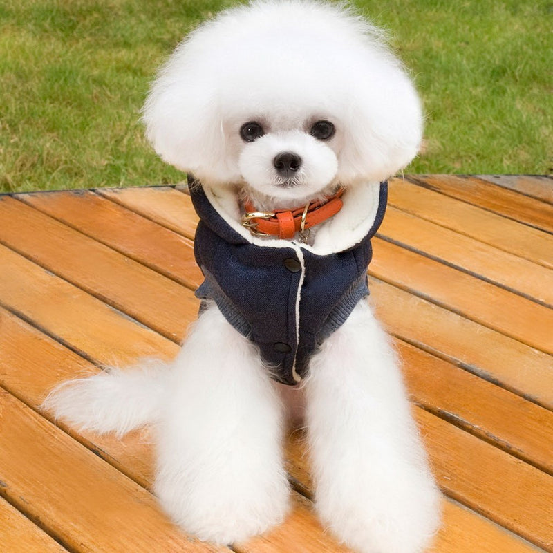 [Australia] - SELMAI Hooded Dog Coat Stylish Small Puppy Dog Clothes (Specially for Toy Breeds, Like Toy Poodle, Mini Pinscher, Shih tzu,Chihuahua, Size Runs Small One to Two Size Than US Size) S (Back:8.0";Chest:12.5";for 3-4 lbs) Blue 