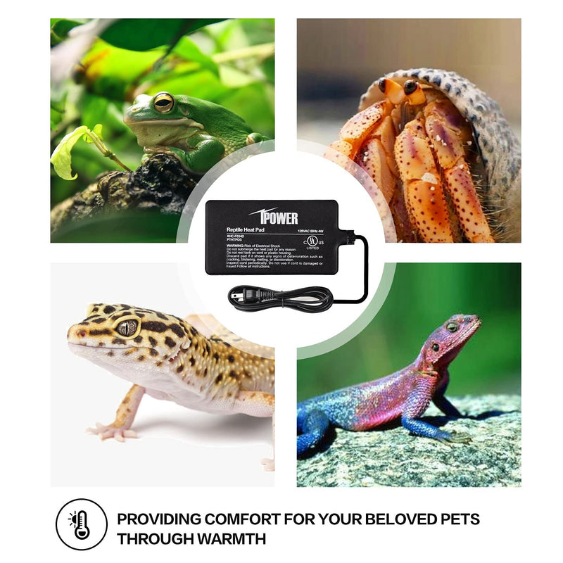 iPower Reptile Heat Pad 4W/8W/16W/24W Under Tank Terrarium Warmer Heating Mat and Digital Thermostat Controller for Turtles Lizards Frogs and Other Small Animals, Multi Sizes 4 X 7 Inch Pad + Thermostat - PawsPlanet Australia