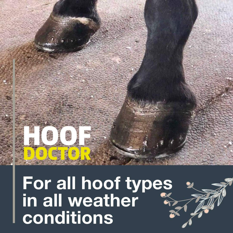 Mineral Medix Hoof Doctor - White Line | Thrush | Abscesses | Quarter Crack | Seedy Toe | - 100% All-Natural Hoof Care Product - Birch Bark Extract with Organic Oils, Vitamins A & D 16 fl. Oz - PawsPlanet Australia