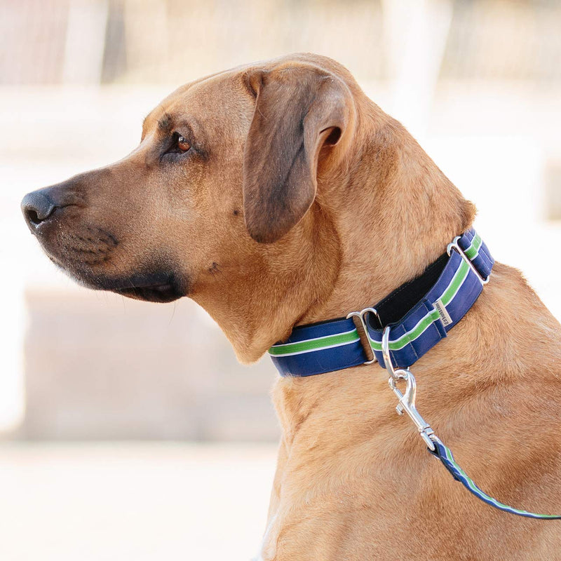 If It Barks - 1.5" Martingale Collar for Dogs - Adjustable - Nylon - Strong and Comfy - Ideal for Training - Made in USA Small w/Buckle Blueberry - PawsPlanet Australia